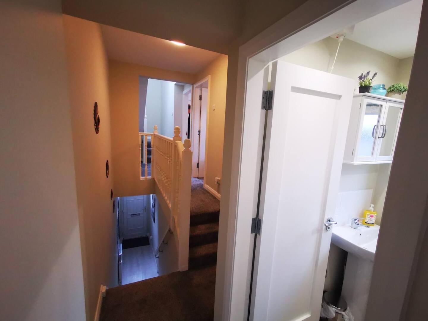4Br Modern Botanic House Villa Belfast Eksteriør bilde