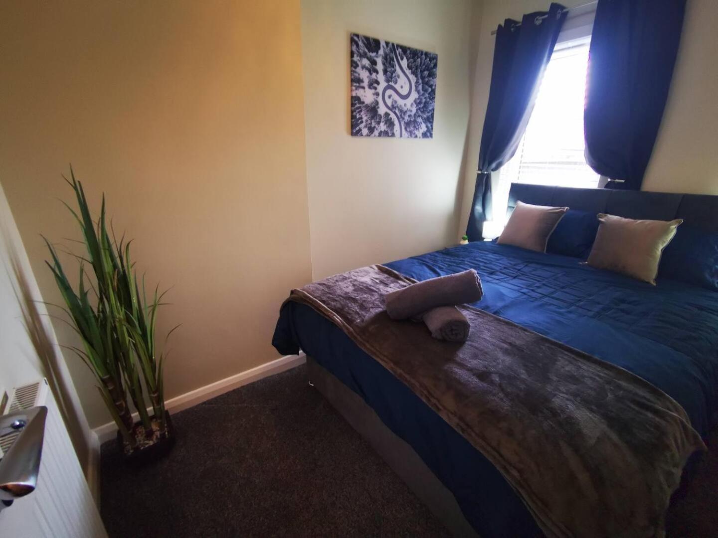 4Br Modern Botanic House Villa Belfast Eksteriør bilde